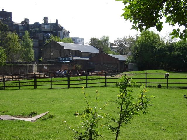 Hackney City Farm 2
