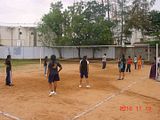 Volleyball