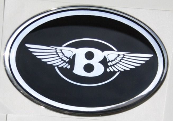 Chrysler 300 front wing emblem #3