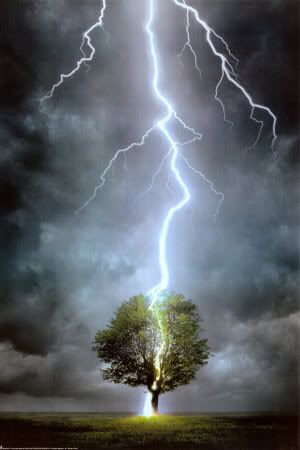 lightning photo: lighting strike Lightning-Striking-Tree-Poster-C102.jpg