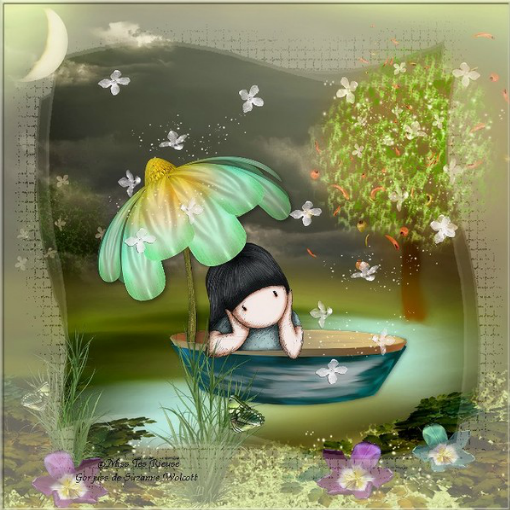 Imagen