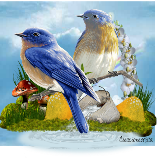 Imagen