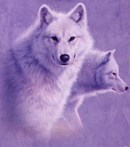 purple wolves