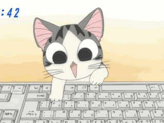 typing cat Pictures, Images and Photos