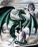 black dragon Pictures, Images and Photos