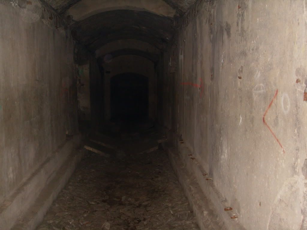[Linked Image from i678.photobucket.com]