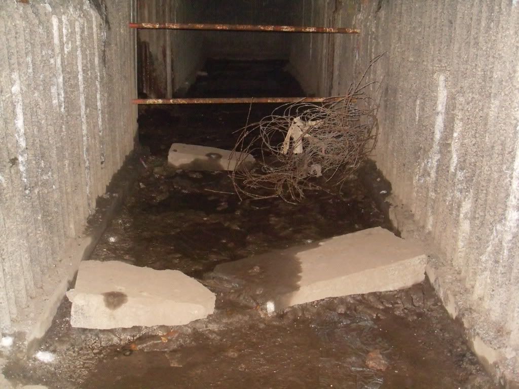 [Linked Image from i678.photobucket.com]