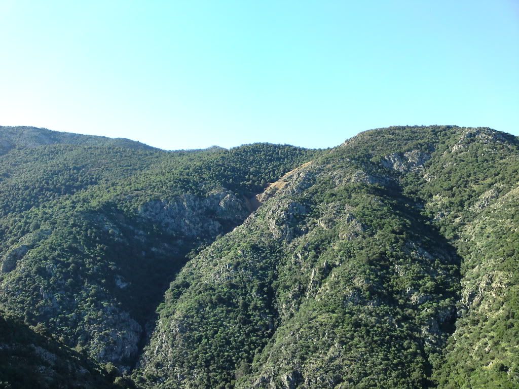 P06-02-11_1023.jpg