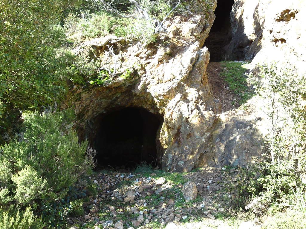 P06-02-11_1132.jpg