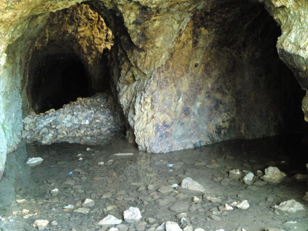 P06-02-11_1136.jpg