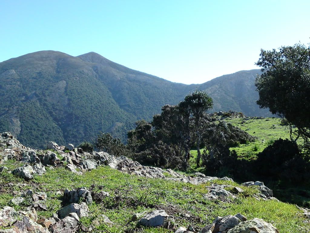 P06-02-11_1146.jpg