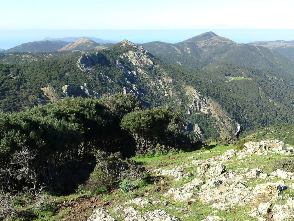 P06-02-11_114601.jpg