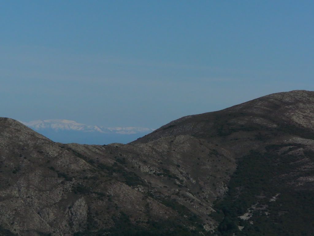 P1180381.jpg