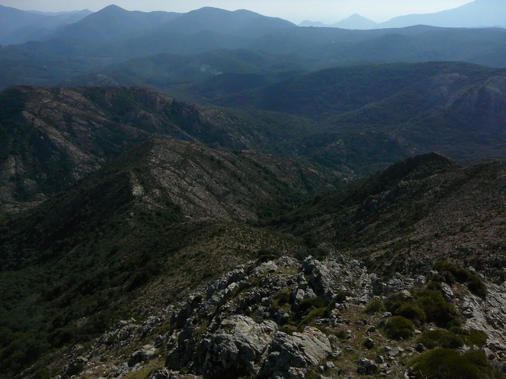 P1180385.jpg