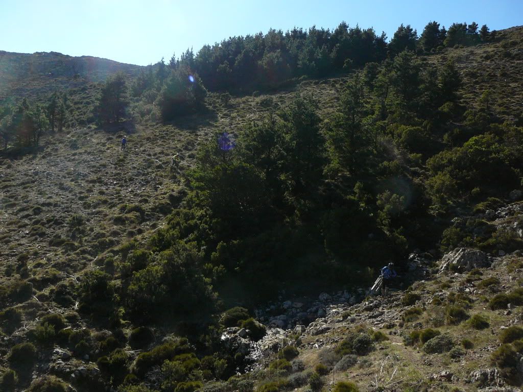 P1180401.jpg