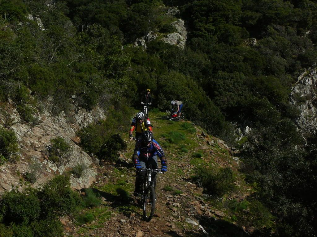 P1180422.jpg