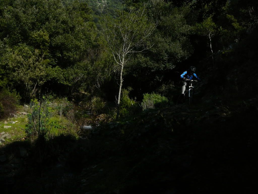 P1180426.jpg