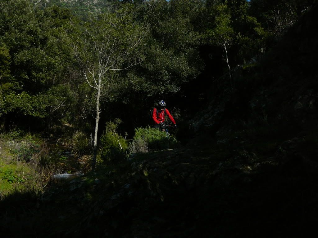P1180429.jpg