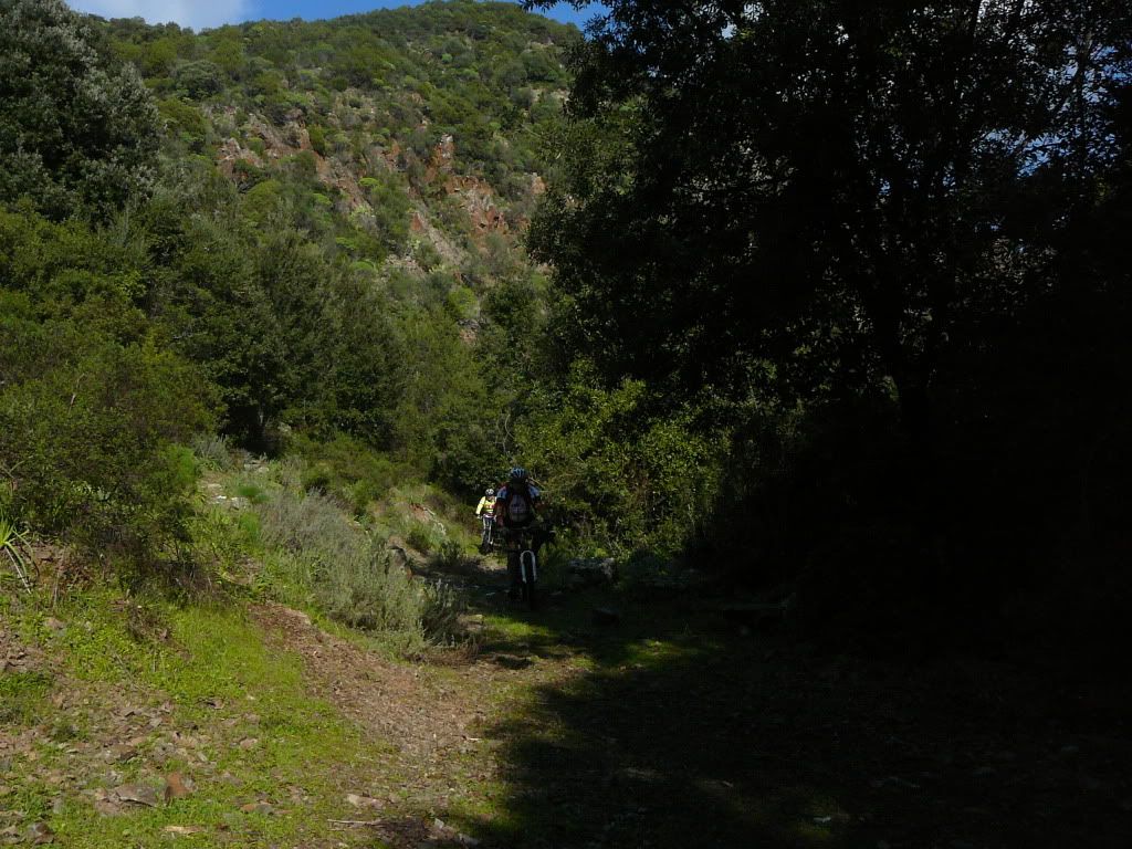 P1180435.jpg