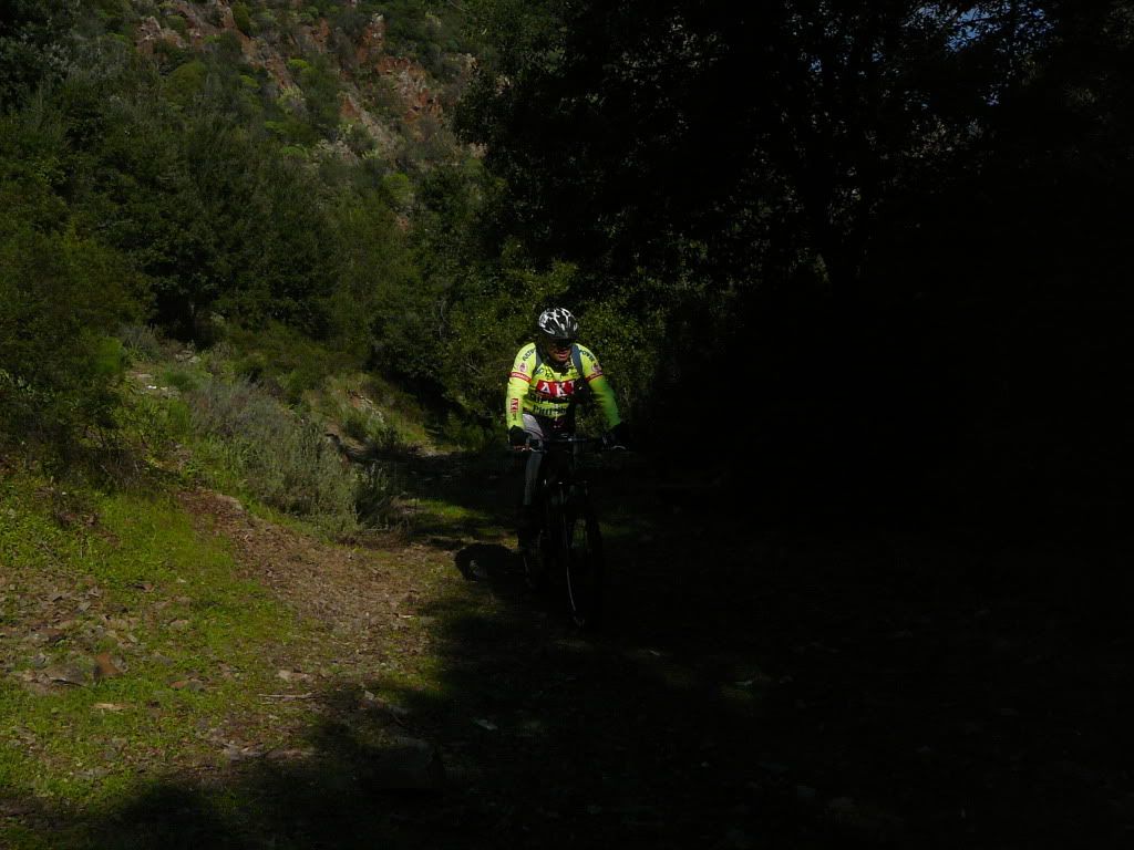P1180437.jpg