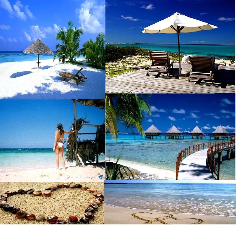 Beach Paradise Pictures, Images and Photos