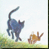 Warrior cats Pictures, Images and Photos