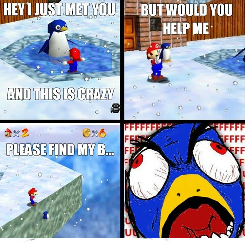 I know how you feel mario those penguins can get really annoying when they cry