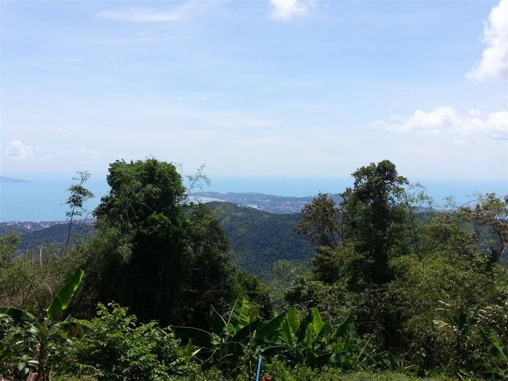 20150520_111617_zps7tc0smjm.jpg