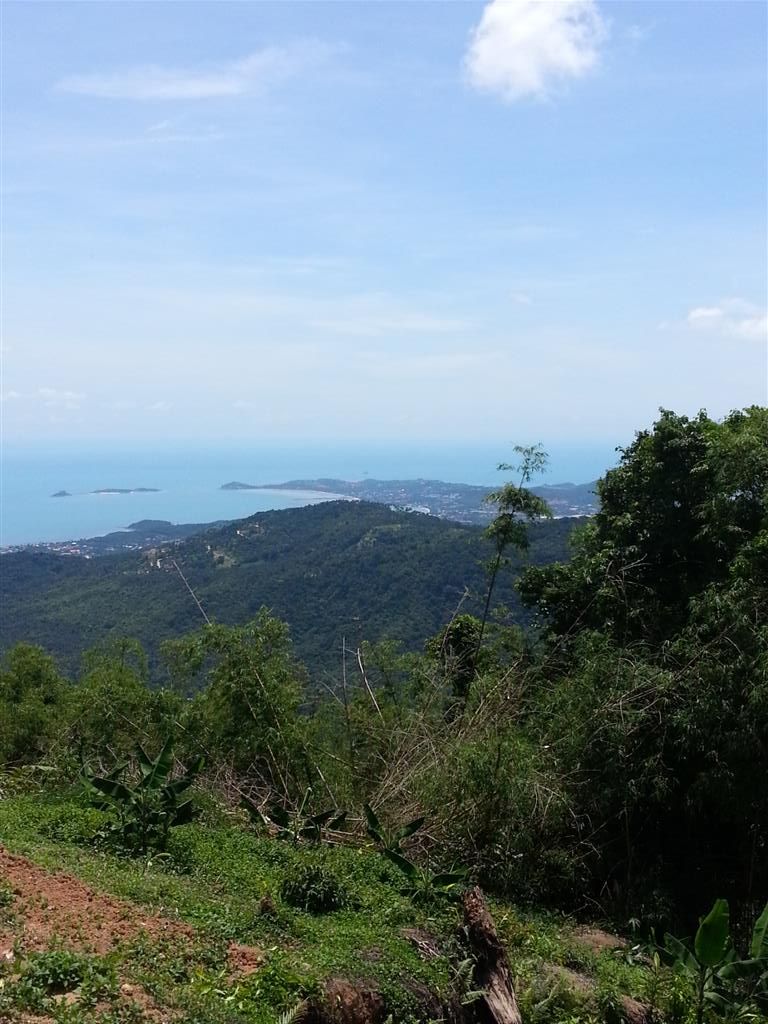 20150520_111648_zpsy9a6xb5t.jpg