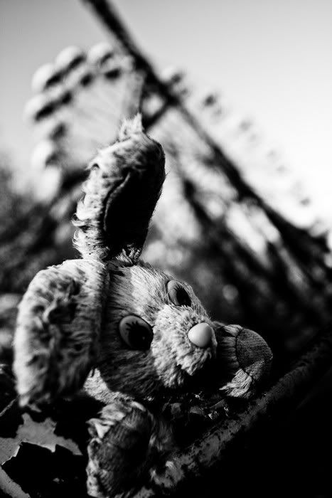 1256016058_chernobil_06.jpg
