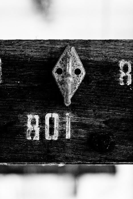 1256016123_chernobil_05.jpg