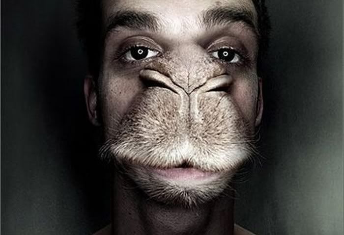 1256882079_photoshop_masters_18.jpg