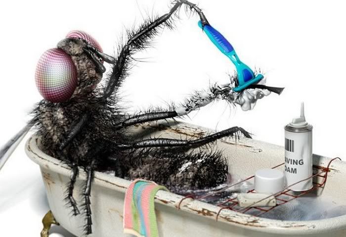 1256882152_photoshop_masters_50.jpg