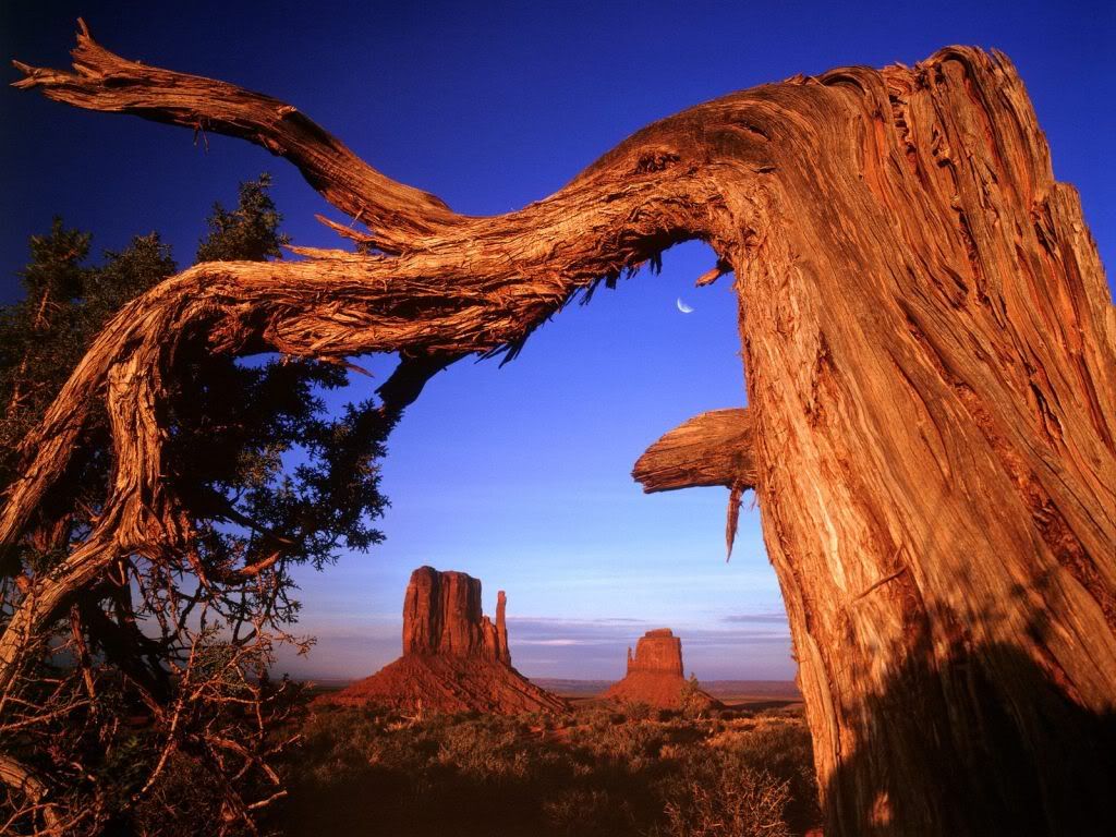 FallenMonumentValleyArizona.jpg