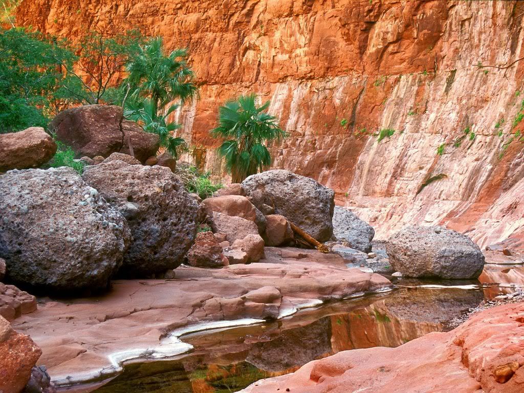 HiddenOasisElCajonCanyonBajaMexico.jpg