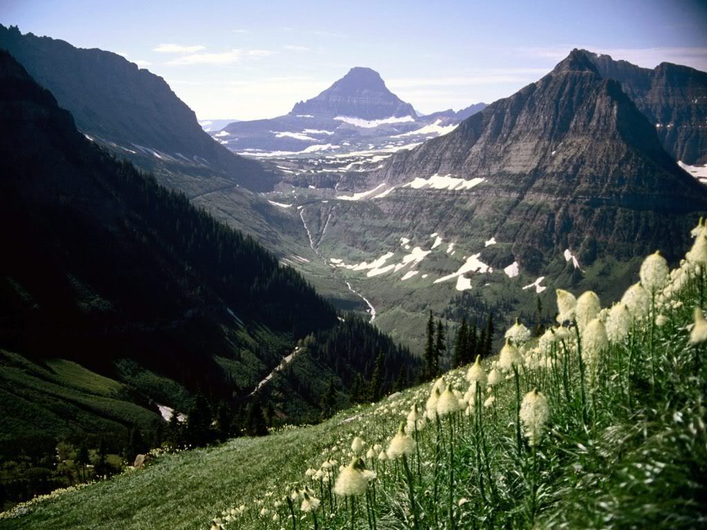 MountReynoldsGlacierNationalParkMon.jpg
