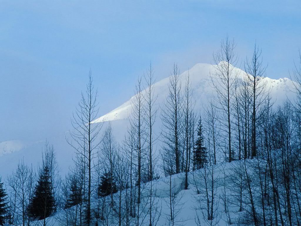 MountainPeakRisingThroughMorningFog.jpg