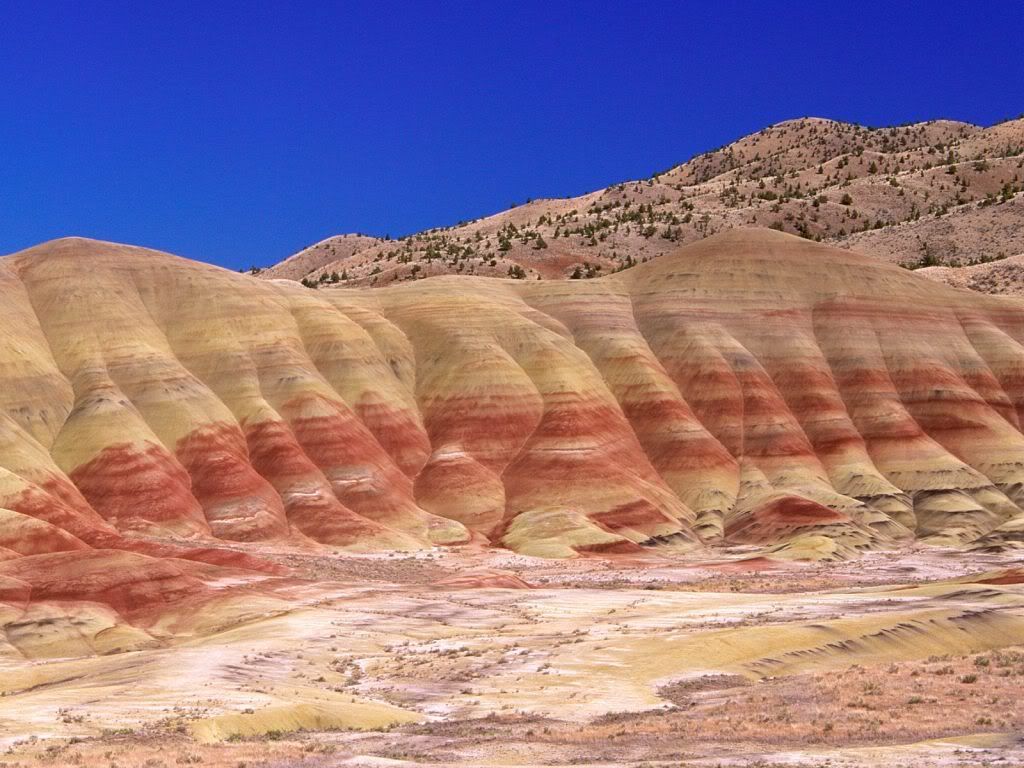 PaintedHillsJohnDayFossilBedsNation.jpg