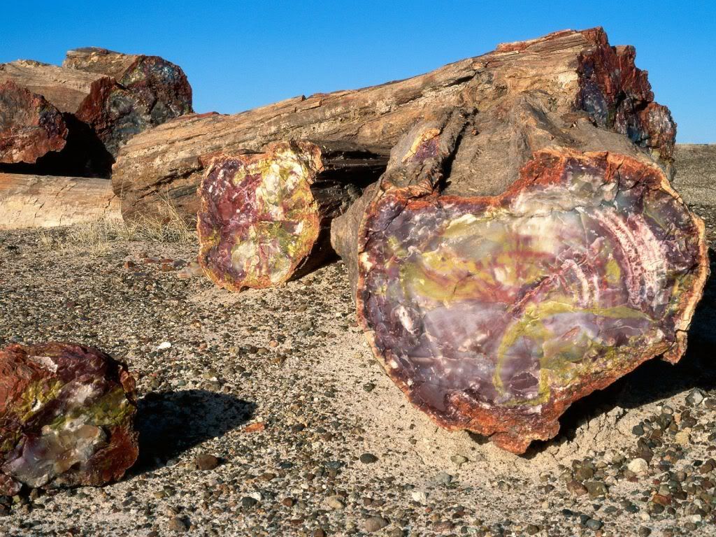 PetrifiedForestNationalParkArizona.jpg