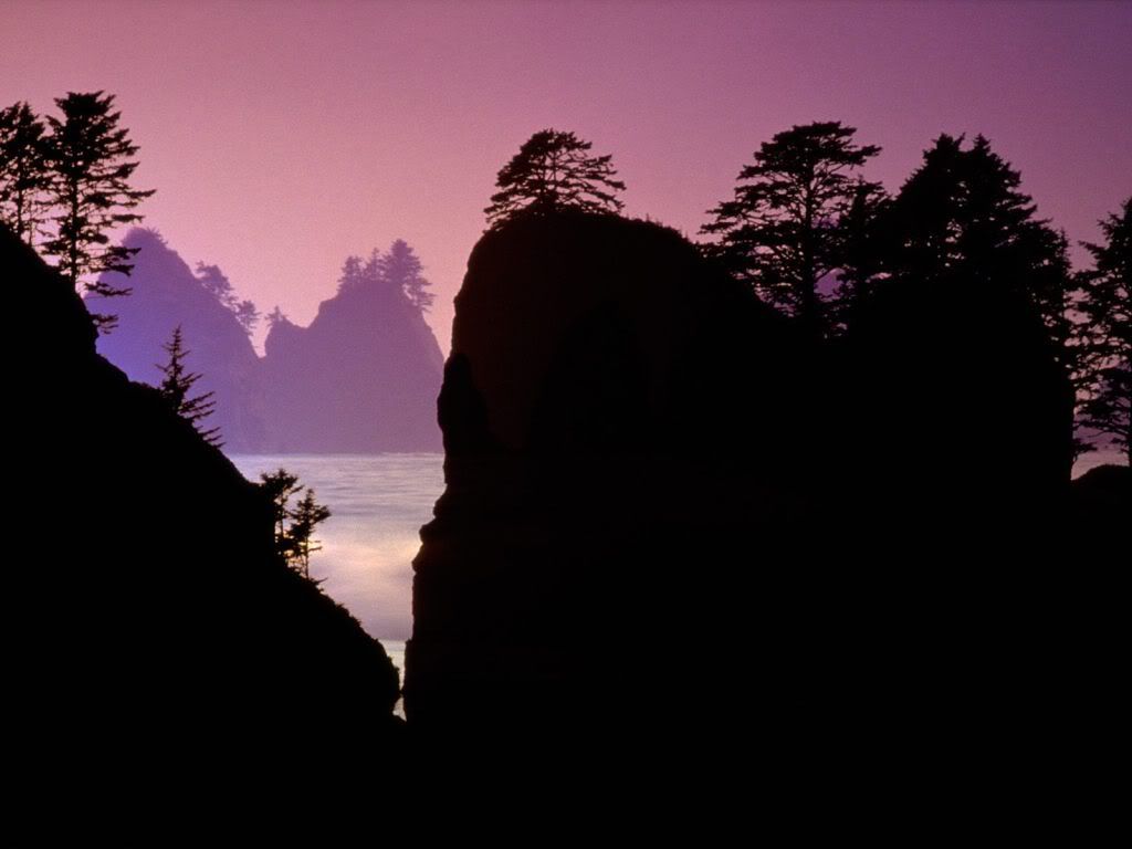 PointofArchesOlympicNationalParkWas.jpg