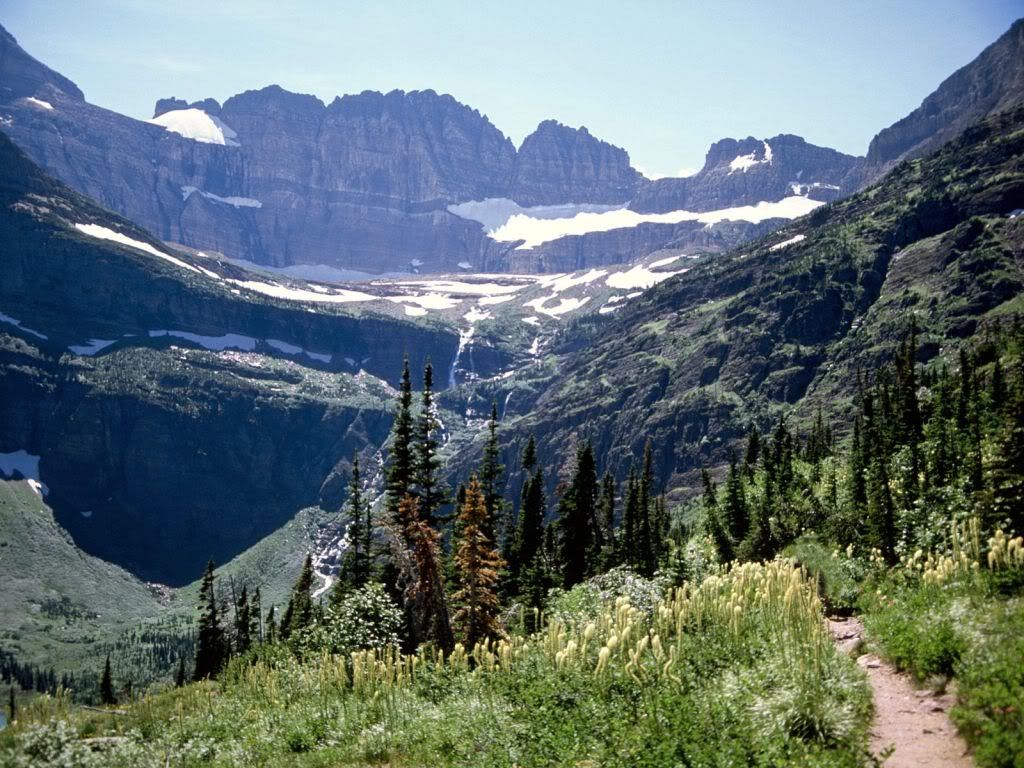 SalamanderGlacierGlacierNationalPar.jpg