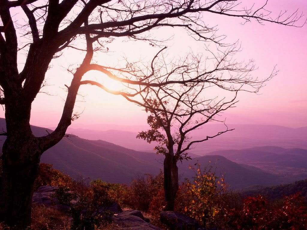 ShenandoahNationalParkVirginia.jpg