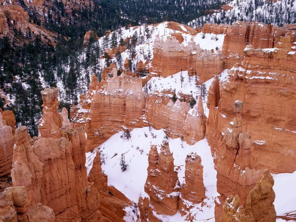 SnowyBryceCanyonUtah.jpg