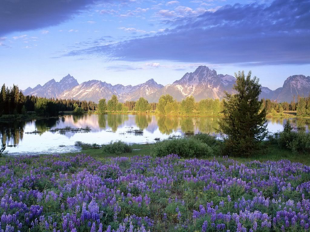 TetonRangeinSpringWyoming.jpg