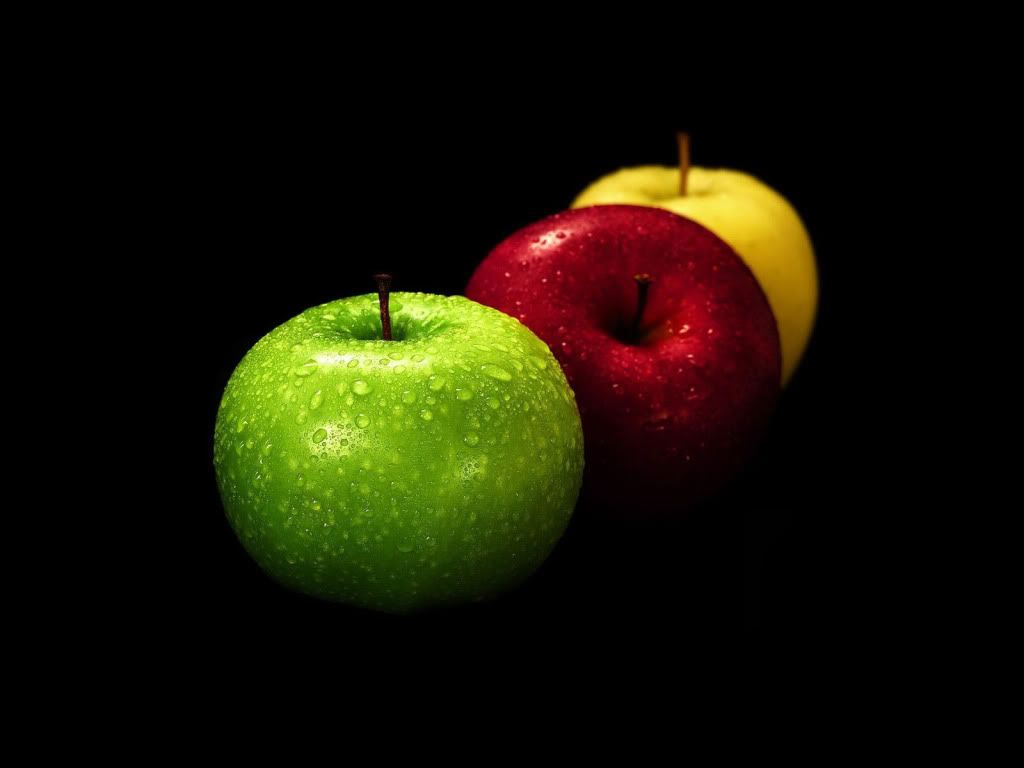 gfxcityblogspotcom-0214.jpg