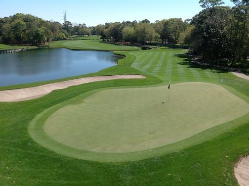 Innisbrook Resort and Golf Club, Copperhead Course 2 photo Photo3smaller_zps8a9b8826.jpg