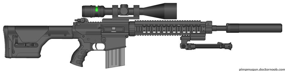 Sr 25 Rifle