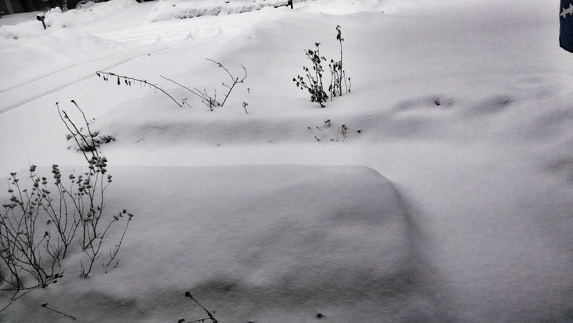 More Snow In Michigan photo IMG_20140302_0757075182_zpsed2430dc.jpg